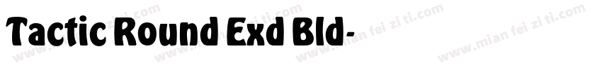 Tactic Round Exd Bld字体转换
